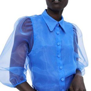 Zara Organza Puff Sleeve Blouse